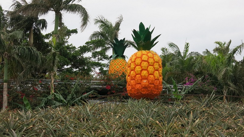 名護菠蘿園－－坐上有趣的菠蘿車遊覽吧| 專題| 旅行野wildwildtravel.com