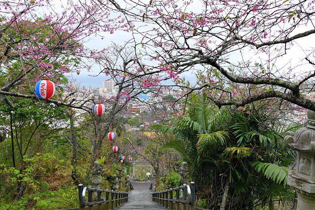 nangusuku-park-in-northern-okinawa