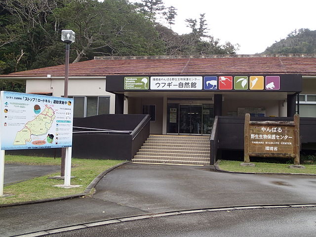 yambaru-wildlife-conservation-center-ufugi-nature-museum-in-northern-okinawa