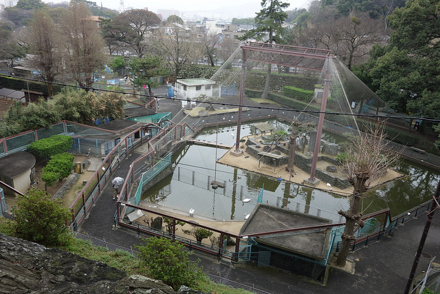 wakayama-city-zoo-in-wakayama-city